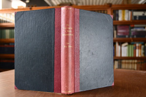 Das Soziologische in Kants Erkenntniskritik. Ei...