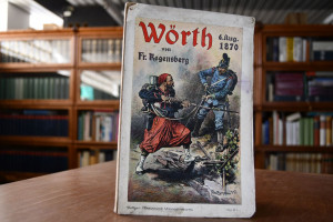 Wörth. Eine Schilderung der Schlacht bei Wörth ...