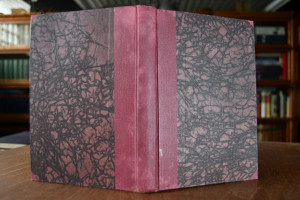 Der Flagellantismus und die Jesuitenbeichte; Hi...