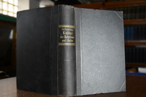 Kultur und Denken der Babylonier und Juden.