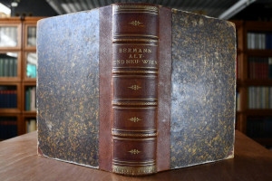 Alt- und Neu-Wien. Geschichte der Kaiserstadt u...