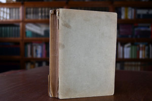 Die Eingeborenen vom Strom.