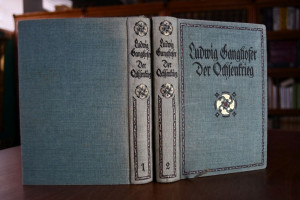 Der Ochsenkrieg. Roman aus dem 15. Jahrhundert....