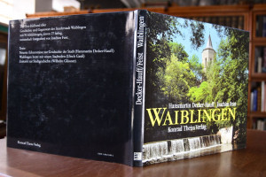 Waiblingen Porträt einer Stadtlandschaft.