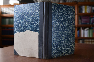 Weltfrieden oder Weltkrieg! Wohin geht Deutschl...