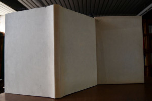 Die Versuchung des Pescara.