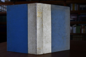 Goethes Briefwechsel mit Wilhelm und ALexander ...