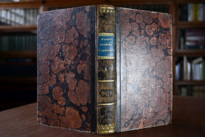 Umfassende Geschichte des Kaisers Napoleon mit ...