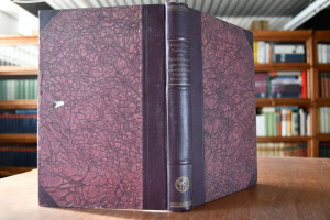 Probleme u d Entscheidungen der Deutsch-Amerika...