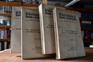 Die Berufsstandspolitik des Gewerbe- u. Handels...