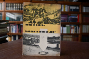 Heute Korea - Morgen Deutschland?