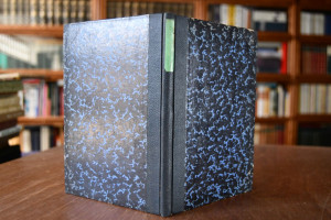 Die französische Kriegs- und Revanche-Dichtung....