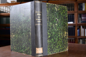 Das ästhetische Gefühl. Eine Erklärung der Schö...