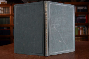 Zahl und Gestalt bei Platon und Aristoteles.