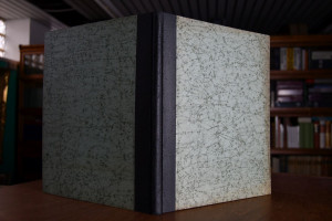 Die 25 Einfamilienhäuser der Holzsiedlung am Ko...