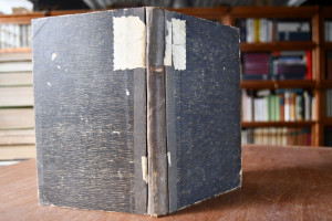 Demosthenes der Staatsmann und Redner.