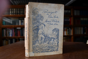 Wie eine Frau eine Urwaldsiedlung wachsen sah. ...