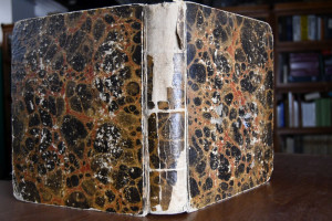 Didaskalia oder Blätter für Geist, Gemüth und P...