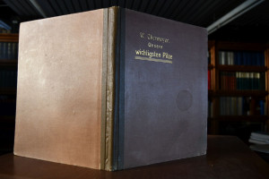 Unsere Wichtigsten Pilze in Wort und Bild.