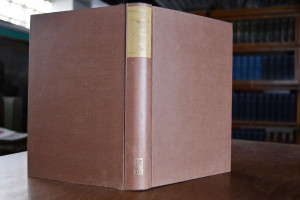 Die lateinische Reimprosa.