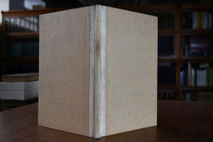 Chronicon Novaliciense ex recensione Bethmanni ...