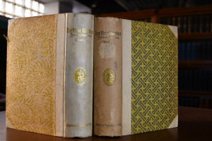 Der Neue Merkur. Monatsschrift für geistiges Le...