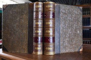 Geschichte der griechischen Plastik. Bd. 1+2 (k...