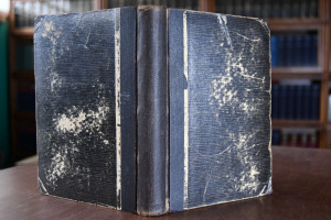 Flora von Nord-Thüringen.