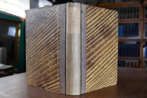 Zeitschrift des landwirthschaftlichen Vereins i...