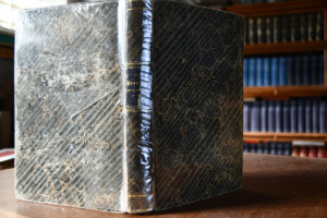 Die Franzosen der neuesten Zeit.