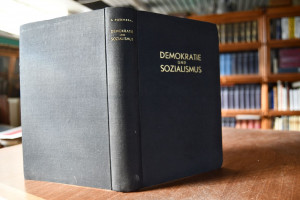 Demokratie und Sozialismus. Zur politischen Ges...