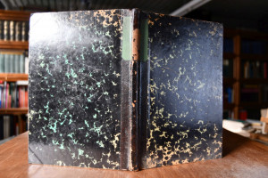 Die chemische Energie der lebenden Zellen.