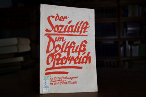 Der Sozialist im Dollfuß-Österreich. Eine Unter...