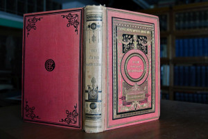 Viaje a un país maravilloso. Arizona y Nuevo Mé...