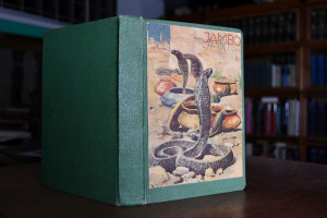 Jambo. Privater Sammelband mit folgenden Heften...