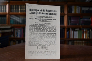 Wie wählen wir die Abgeordneten zur deutschen N...