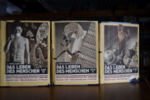 Das Leben des Menschen. Eine volkstümliche Anat...