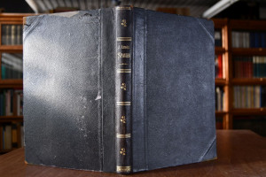 Spanien. Eine Reiseerzählung.