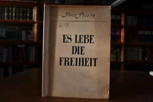 Es lebe die Freiheit!