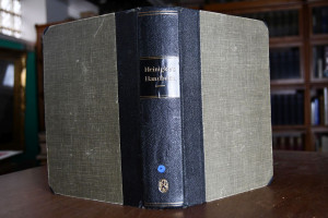 Carl Heinigkes Handbuch der homöopathischen Arz...