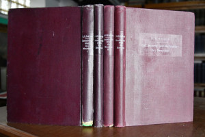 Vorlesungen über das gesamte Geschlechtsleben d...