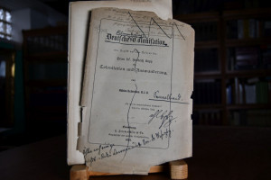 Deutsche Colonisation, eine Replik auf das Refe...