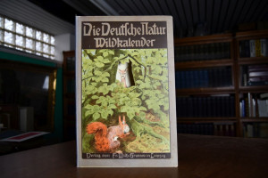 Wildkalender 1. Teil Unser Haarwild.