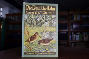 Wildkalender 2. Teil Unser Federwild.