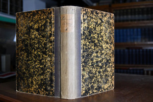 Deutsche Kolonialzeitung. Organ des Deutschen K...