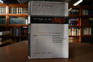Die Angst vor dem Chaos. Gegenangriff durch Ges...