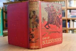 One of Buller`s horse. A Tale of the Zulu Campa...
