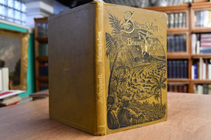 Sturmhaken. Franz Sturms Abenteuer im Bismarck-...