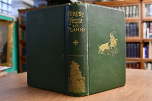 Forest, field and flood, being stories of adven...