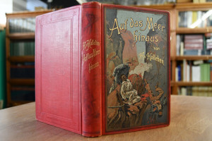 Auf das Meer hinaus. Abenteuer eines Heimatlosen.